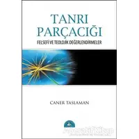 Tanrı Parçacığı - Caner Taslaman - İstanbul Yayınevi