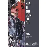 Hırsızın Günlüğü - Jean Genet - Ayrıntı Yayınları