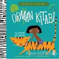 Bebebiyat - Orman Kitabı - Jennifer Adams - Taze Kitap