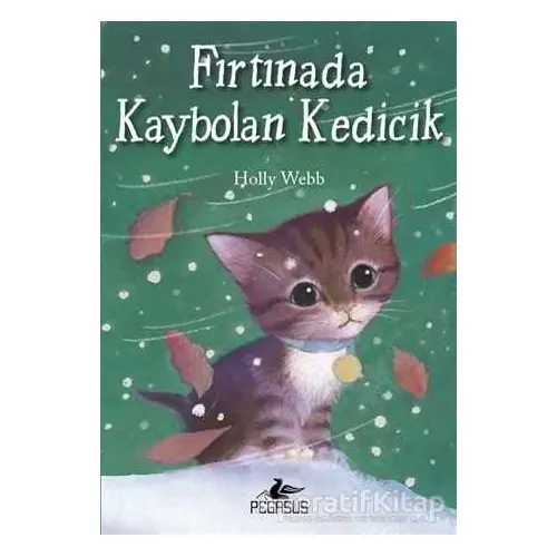 Fırtınada Kaybolan Kedicik - Holly Webb - Pegasus Yayınları