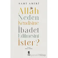 Allah Neden Kendisine İbadet Edilmesini İster? - Sami Amiri - İnsan Yayınları