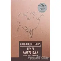 Temel Parçacıklar - Michel Houellebecq - İthaki Yayınları