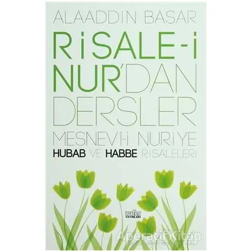 Risale-i Nur’dan Dersler - Alaaddin Başar - Zafer Yayınları