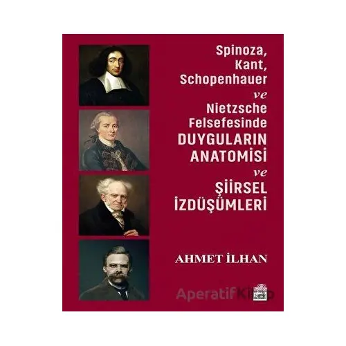 Spinoza, Kant, Schopenhauer ve Nietzsche Felsefesinde Duyguların Anatomisi ve Şiirsel İzdüşümleri