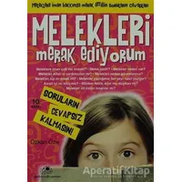 Melekleri Merak Ediyorum - Özkan Öze - Uğurböceği Yayınları