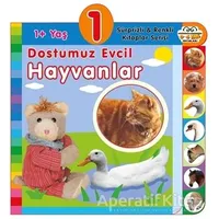 1+ Yaş Dostumuz Evcil Hayvanlar - Kolektif - 0-6 Yaş Yayınları