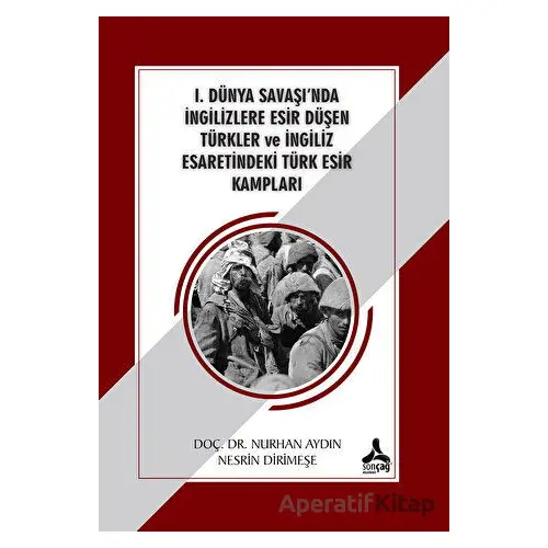 1. Dünya Savaşında İngilizlere Esir Düşen Türkler ve İngiliz Esaretindeki Türk Esir Kampları