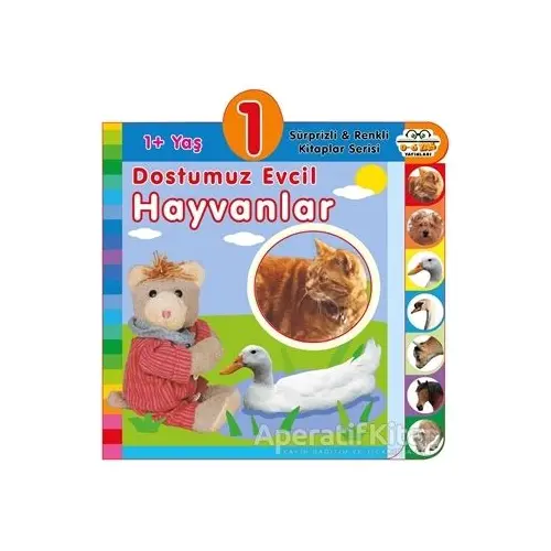 1+ Yaş Dostumuz Evcil Hayvanlar - Kolektif - 0-6 Yaş Yayınları