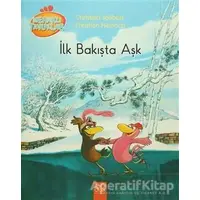 Meraklı Tavuklar - İlk Bakışta Aşk - Christian Heinrich - 1001 Çiçek Kitaplar