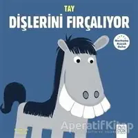 Merhaba Küçük Deha - Tay Dişlerini Fırçalıyor - Michael Dahl - 1001 Çiçek Kitaplar