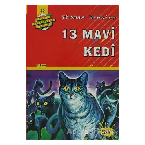 13 Mavi Kedi - Thomas Brezina - Say Çocuk