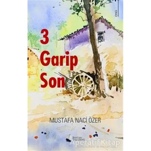 3 Garip Son - Mustafa Naci Özer - Karina Yayınevi