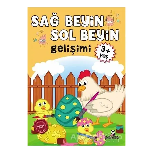 Sağ Beyin - Sol Beyin Gelişimi +3 Yaş - Kolektif - Beyaz Panda Yayınları