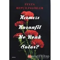 Kırmızı Karanfil Ne Renk Solar? - Feyza Hepçilingirler - Kırmızı Kedi Yayınevi