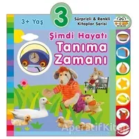 3+ Yaş Şimdi Hayatı Tanıma Zamanı - Kolektif - 0-6 Yaş Yayınları