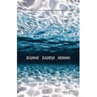 Bulanık Sularda Aranan - Habib Umutlu - Bengisu Yayınları