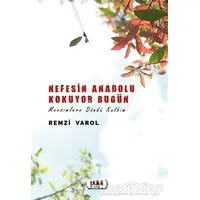 Nefesin Anadolu Kokuyor Bugün - Remzi  Varol - Tilki Kitap