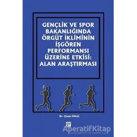 Gençlik ve Spor Bakanlığında Örgüt İkliminin İşgören Performansı Üzerine Etkisi: Alan Araştırması