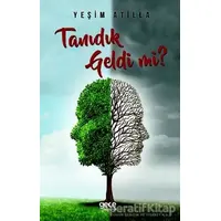 Tanıdık Geldi Mi? - Yeşim Atilla - Gece Kitaplığı