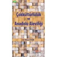 Çokkültürlülük ve Anadolu Aleviliği - Yılmaz Ceylan - Astana Yayınları