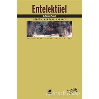 Entelektüel - Edward W. Said - Ayrıntı Yayınları