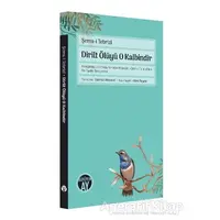 Dirilt Ölüyü O Kalbindir - Şems-i Tebrizi - Büyüyen Ay Yayınları