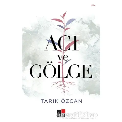 Acı ve Gölge - Tarık Özcan - Kesit Yayınları