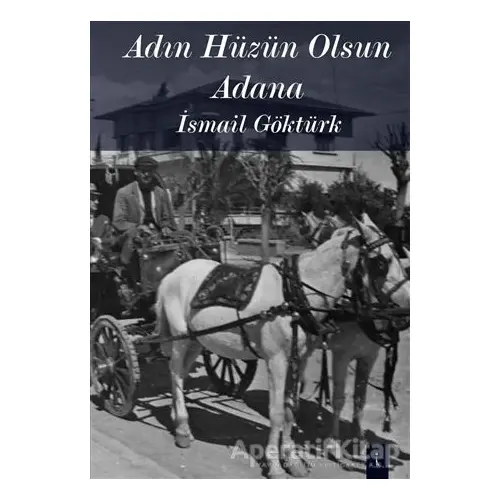 Adın Hüzün Olsun Adana - İsmail Göktürk - İkinci Adam Yayınları