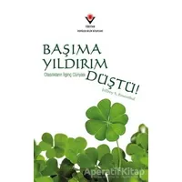 Başıma Yıldırım Düştü! - Jeffrey S. Rosenthal - TÜBİTAK Yayınları