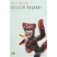 Deliler Boşandı - Aziz Nesin - Nesin Yayınevi