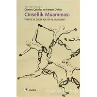 Cinsellik Muamması - Kolektif - Metis Yayınları