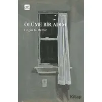 Ölüme Bir Adım - Engin K. Demir - Pruva Yayınları