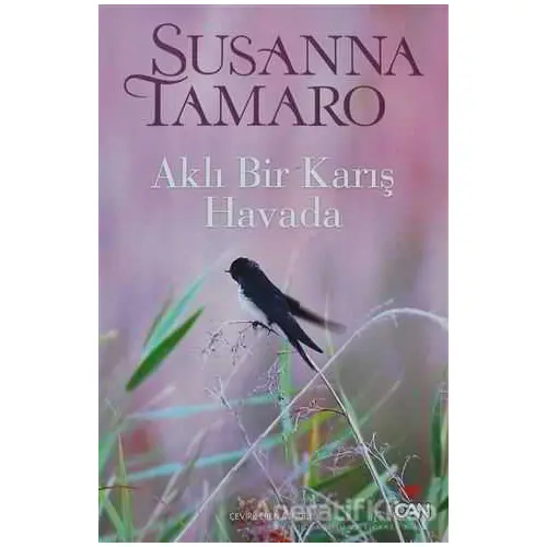 Aklı Bir Karış Havada - Susanna Tamaro - Can Yayınları