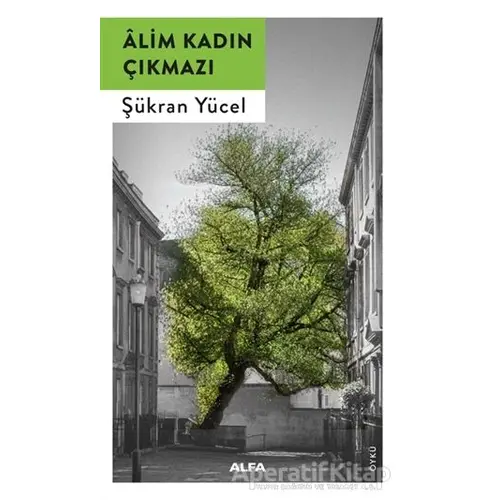 Alim Kadın Çıkmazı - Şükran Yücel - Alfa Yayınları