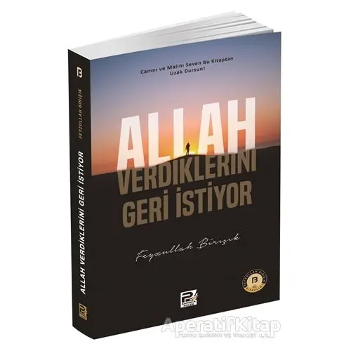 Allah Verdiklerini Geri İstiyor - Feyzullah Birışık - Karınca & Polen Yayınları