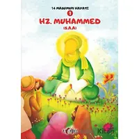 Hz. Muhammed (S.A.A.) - Zehra Abdi - Hekimane Yayınları