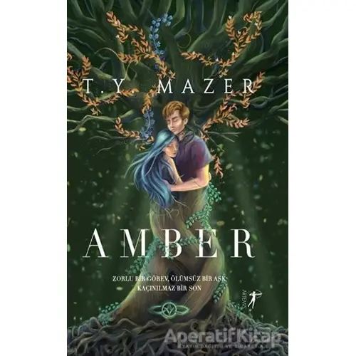 Amber - T. Y. Mazer - Artemis Yayınları