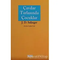 Çavdar Tarlasında Çocuklar - Jerome David Salinger - Yapı Kredi Yayınları