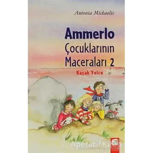 Ammerlo Çocuklarının Maceraları 2: Kaçak Yolcu - Antonia Michaelis - Final Kültür Sanat Yayınları