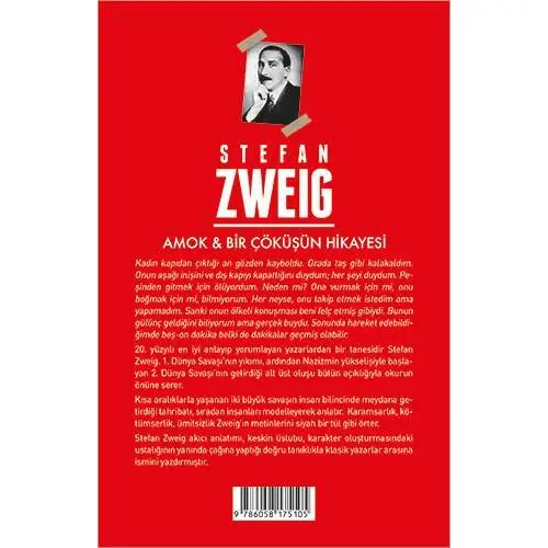 Amok ve Bir Çöküşün Hikayesi - Stefan Zweig - Aperatif Kitap