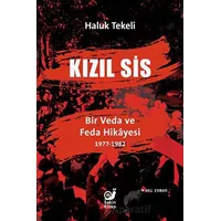 Kızıl Sis - Haluk Tekeli - Sakin Kitap