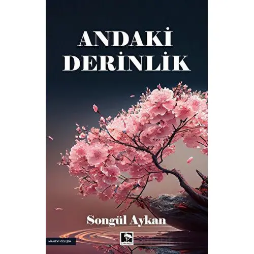 Andaki Derinlik - Songül Aykan - Çınaraltı Yayınları