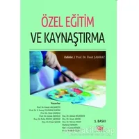 Özel Eğitim ve Kaynaştırma - Pelin Piştav Akmeşe - Anı Yayıncılık