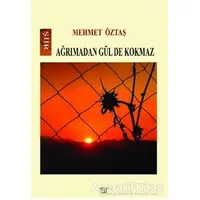 Ağrımadan Gül De Kokmaz - Mehmet Öztaş - Ar Yayınları