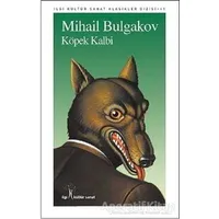 Köpek Kalbi - Mihail Afanasyeviç Bulgakov - İlgi Kültür Sanat Yayınları