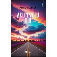 Aklın Yolu Bir - Atanur Kayhan - Karina Yayınevi