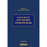 İş Hukukunda Üst Düzey Yöneticiler - Canan Ünal Adınır - On İki Levha Yayınları