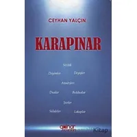 Karapınar - Ceyhan Yalçın - Gülnar Yayınları