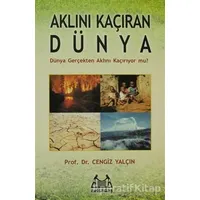 Aklını Kaçıran Dünya - Cengiz Yalçın - Arkadaş Yayınları