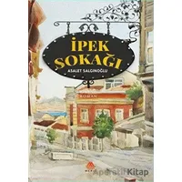 İpek Sokağı - Asalet Salgınoğlu - Meriç Yayınları